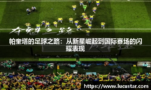 皇冠hg58体育官方网站